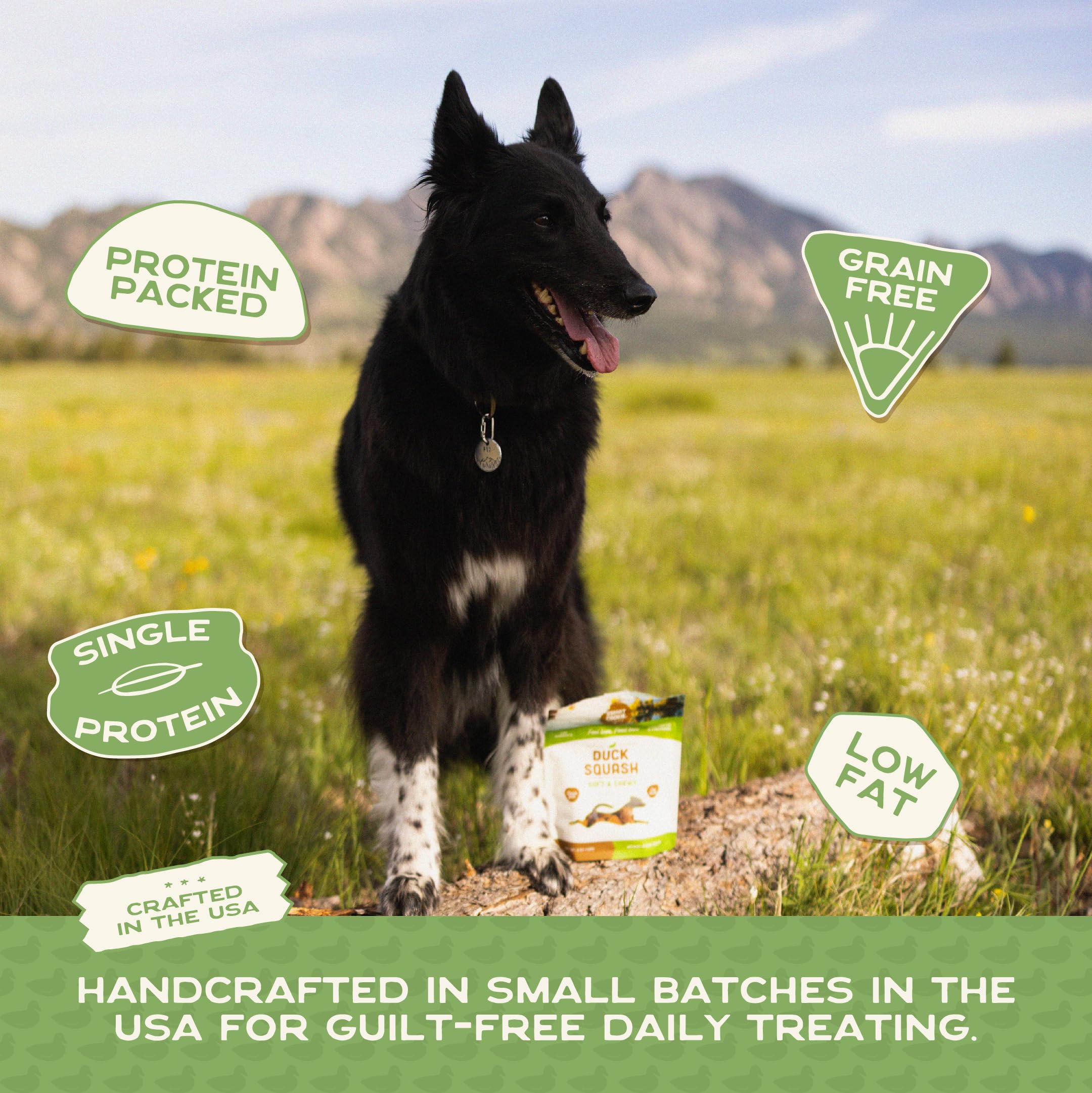 Smart Cookie: proteína única de pato para perros exigentes