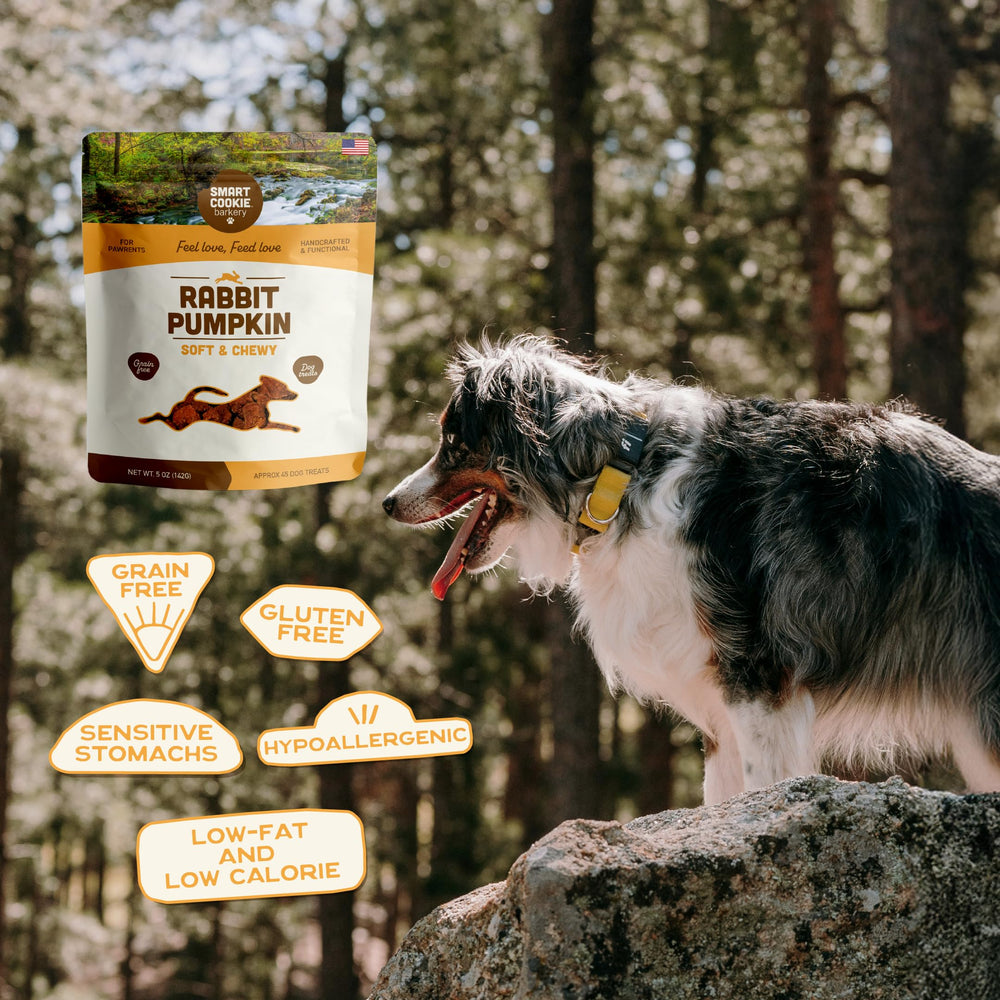 Smart Cookie snack saludable para perros con alergias conejo-calabaza