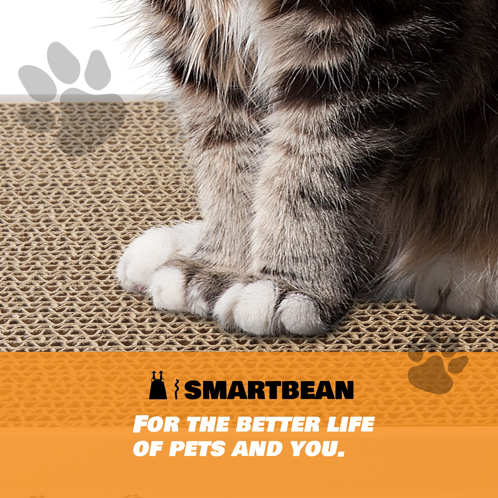 SMARTBEAN grattoir-carton-chat-materiau-recycle, option écologique et durable pour le quotidien.