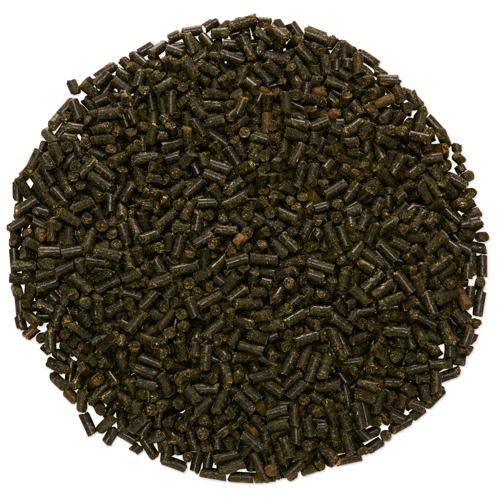Caballo comiendo Lung EQ Pellets, apoyo para la respiración diaria.