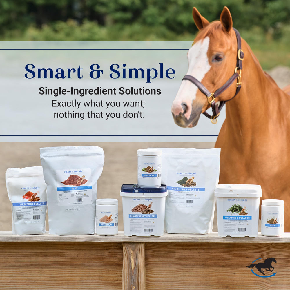 SmartEquine Smart y Simple más de 25 años cuidando caballos.