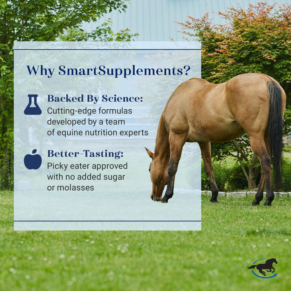 Pasta SmartLytes respalda la hidratación diaria del caballo