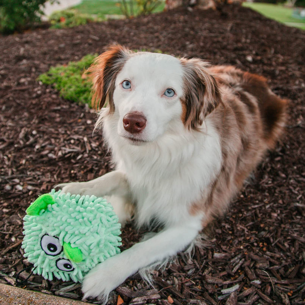 SmartPetLove Snuggle Puppy Tender-Tuffs Ball peluche resistente para morder