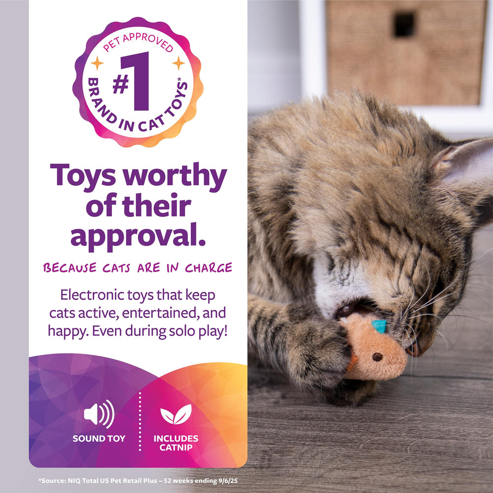 Chickadee Chirp sonido realista para juego interactivo del gato