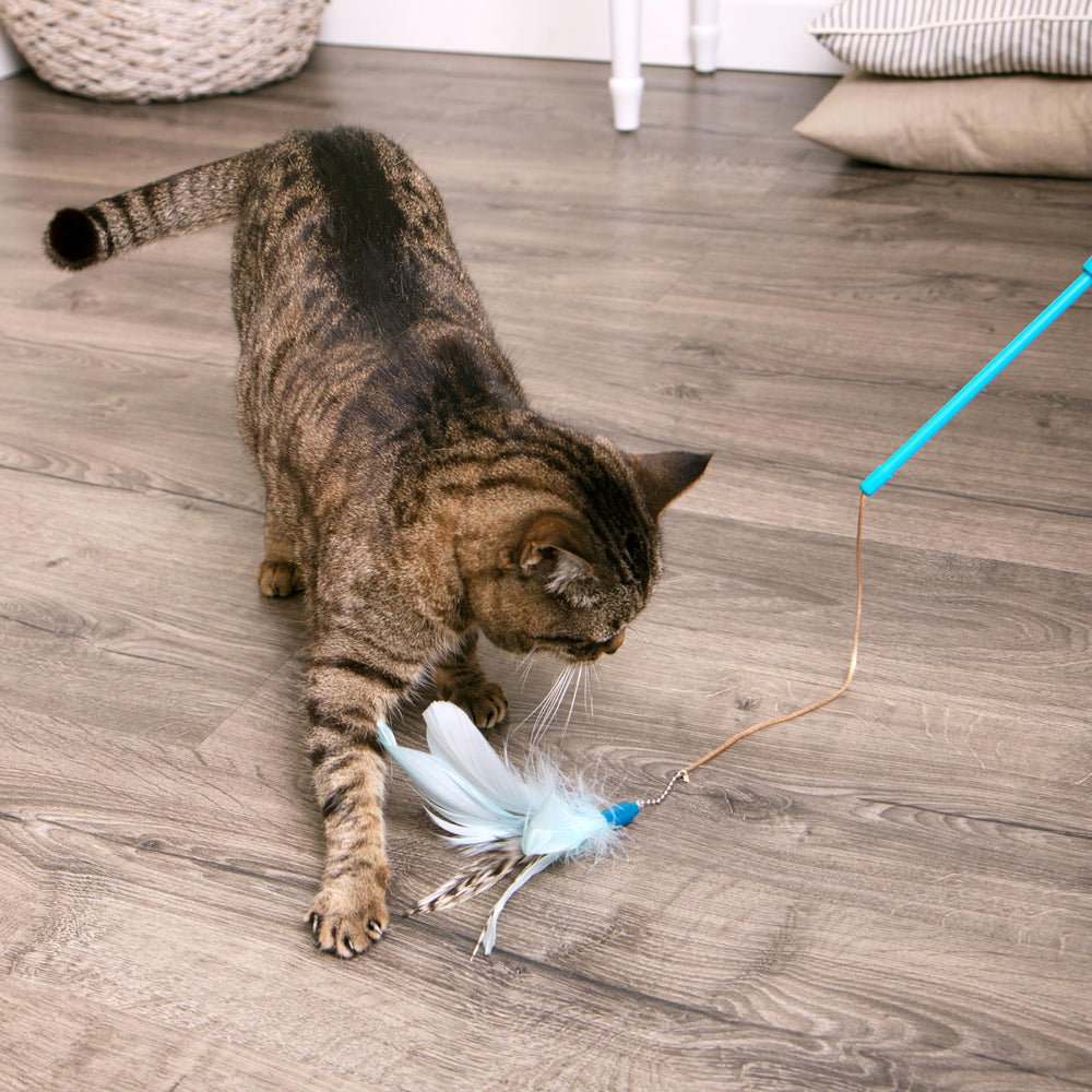 Movimiento irregular imita presa real para atrapar la atención del gato.