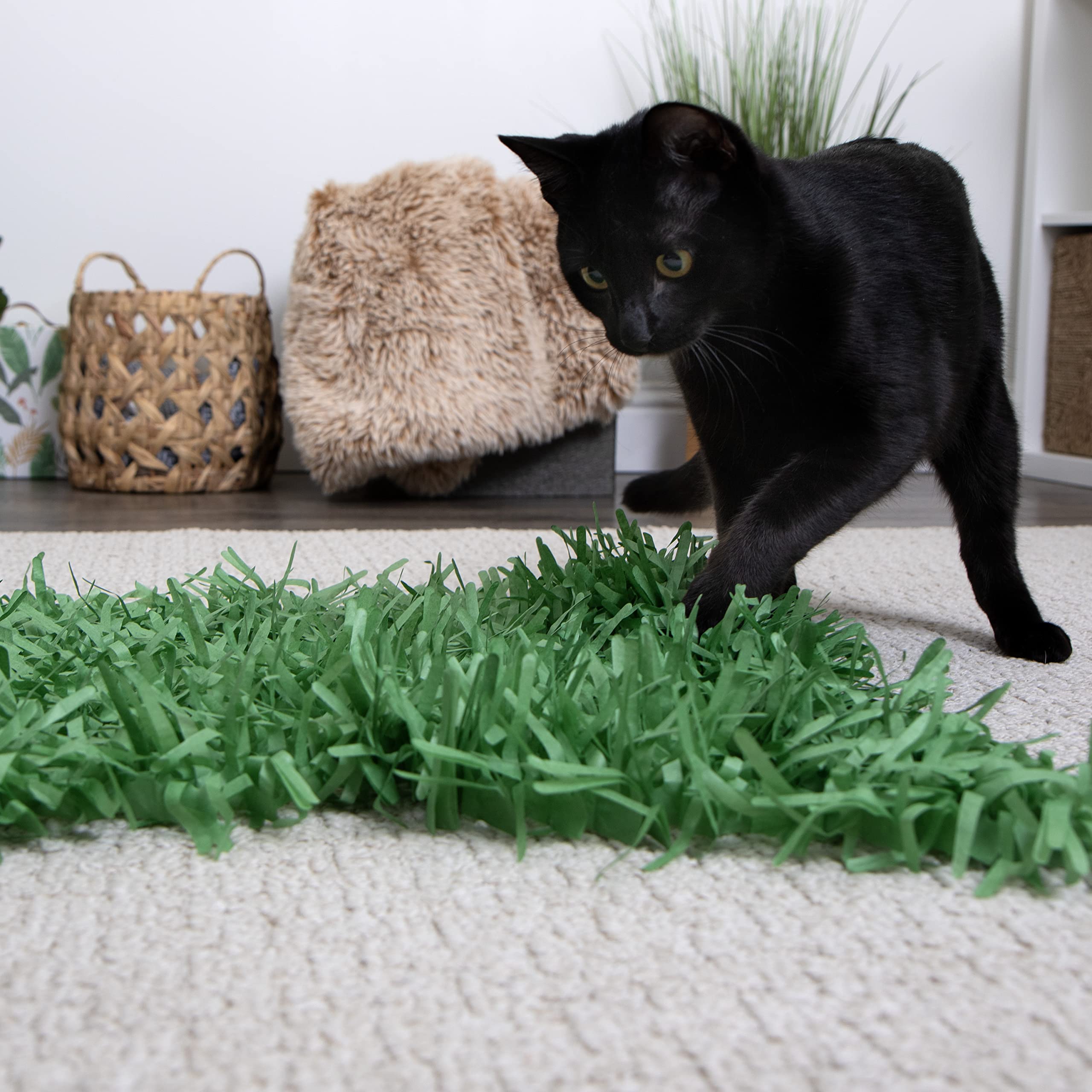 SmartyKat Instincts Meadow Mayhem: zona de juego interactivo para explorar y cazar en interiores