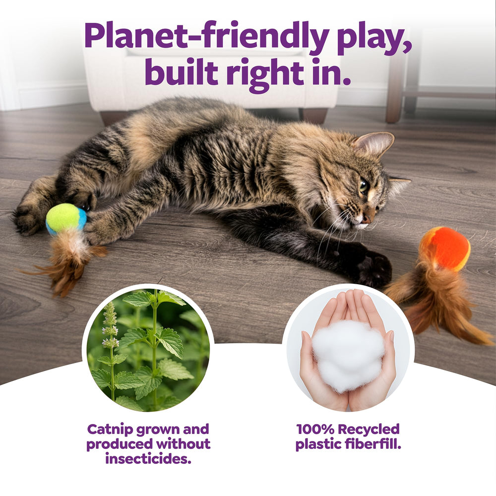 Bola de juguete SmartyKat con plumas para juego interactivo con tu gato.