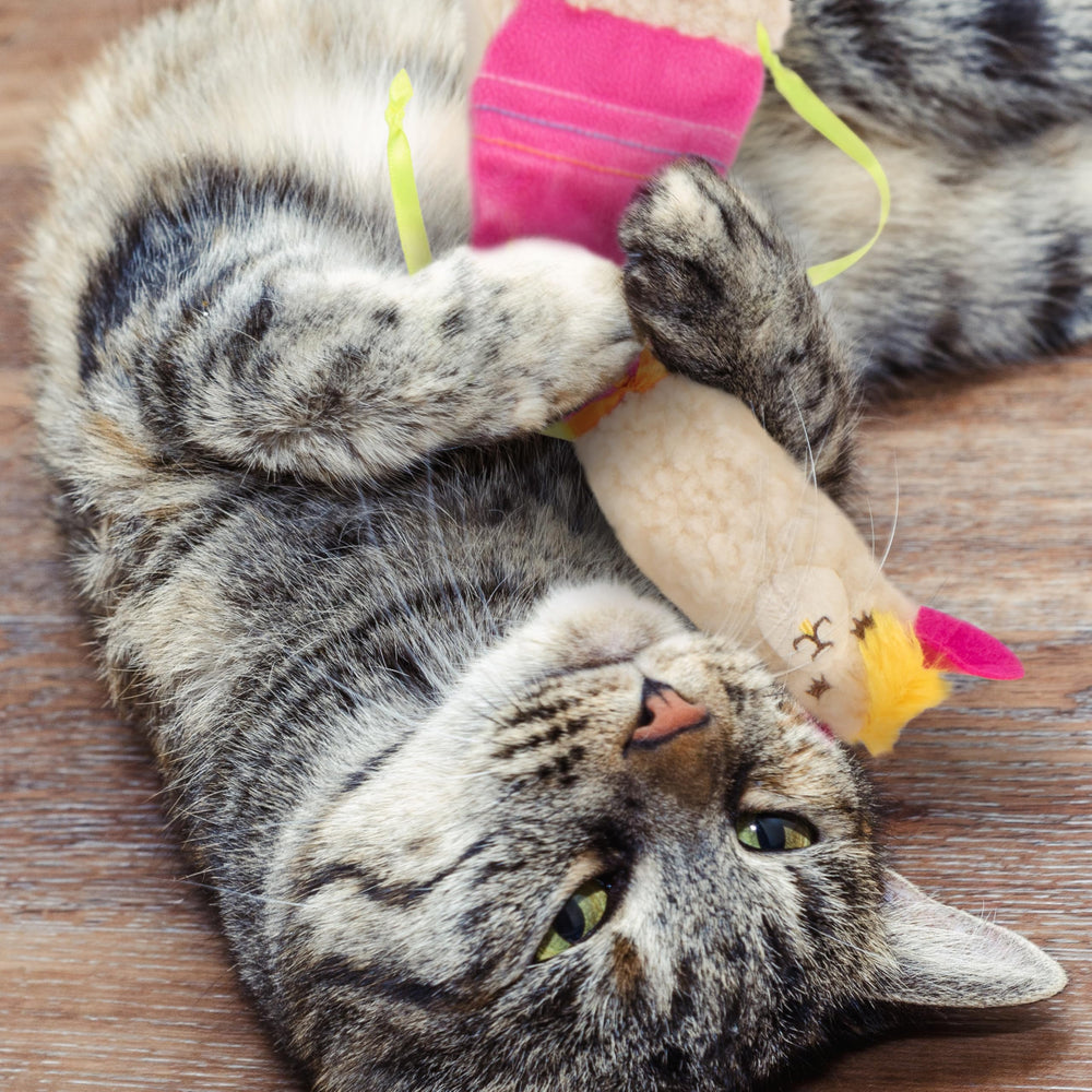 SmartyKat llama juego interactivo para compartir con tu gato.