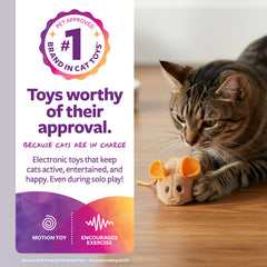 Movimiento impredecible de presa estimula persecución y ejercicio suave para gatos
