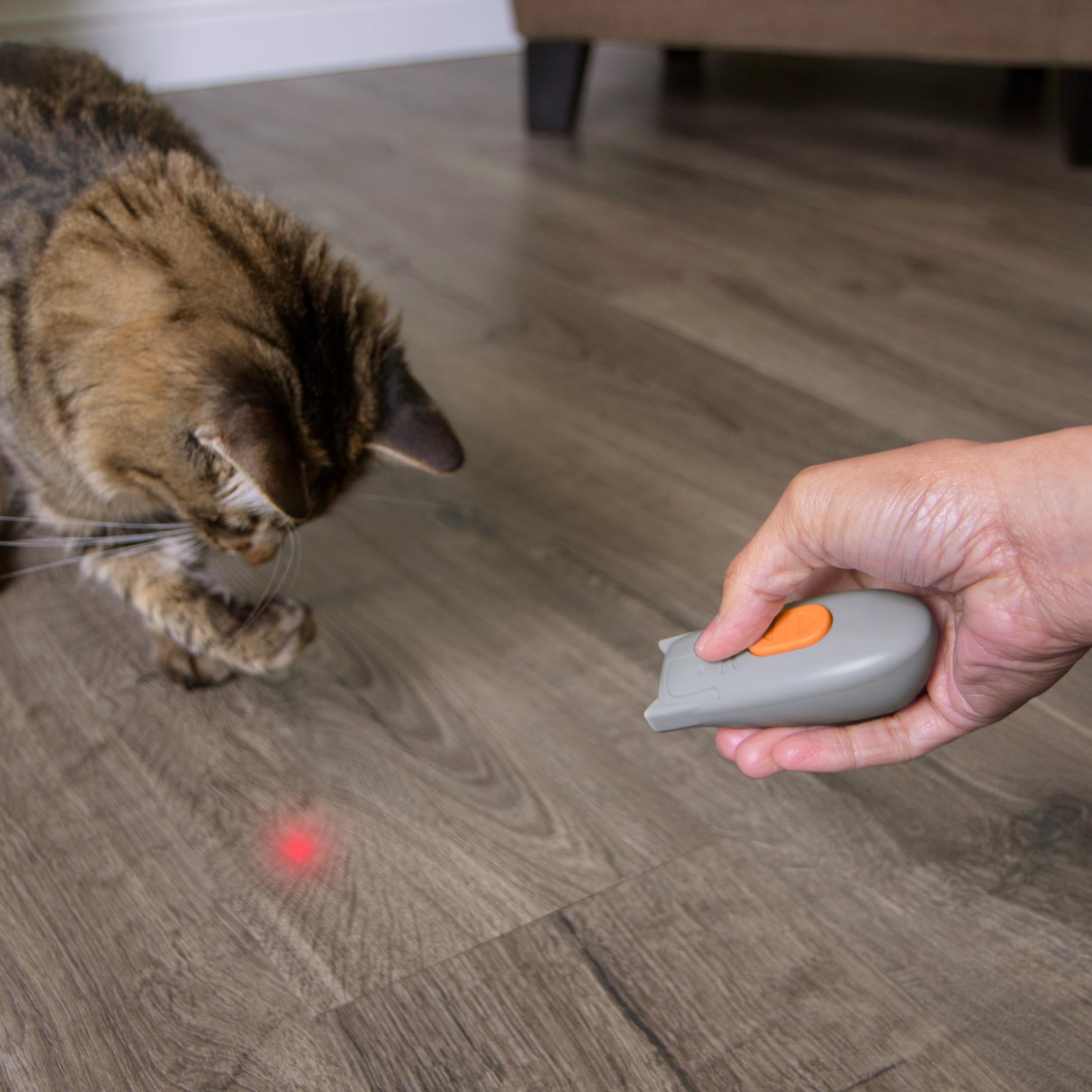 Diseño seguro para el juego y la curiosidad del gato