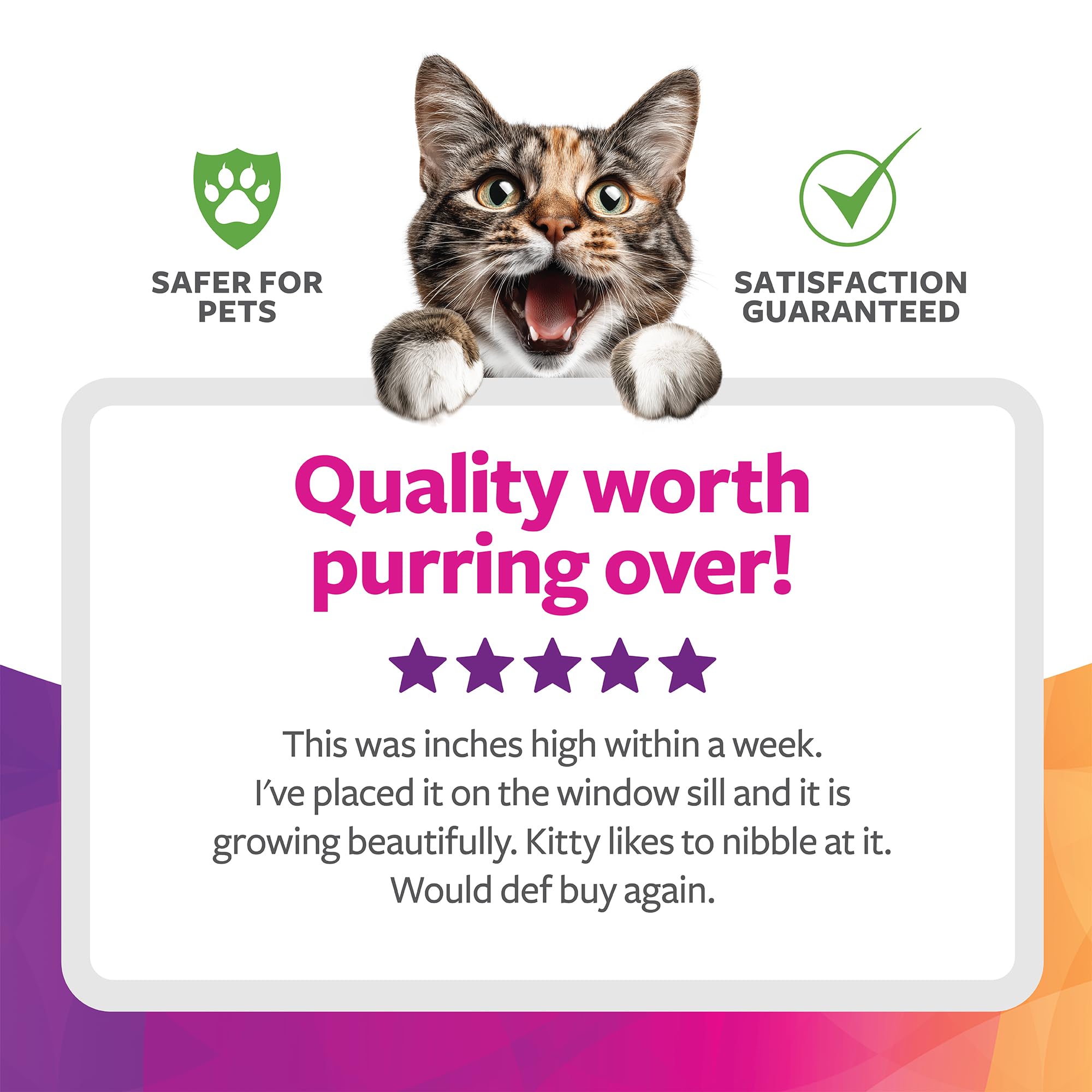 SmartyKat Sweet Greens puede apoyar la digestión suave del gato al masticar hierba