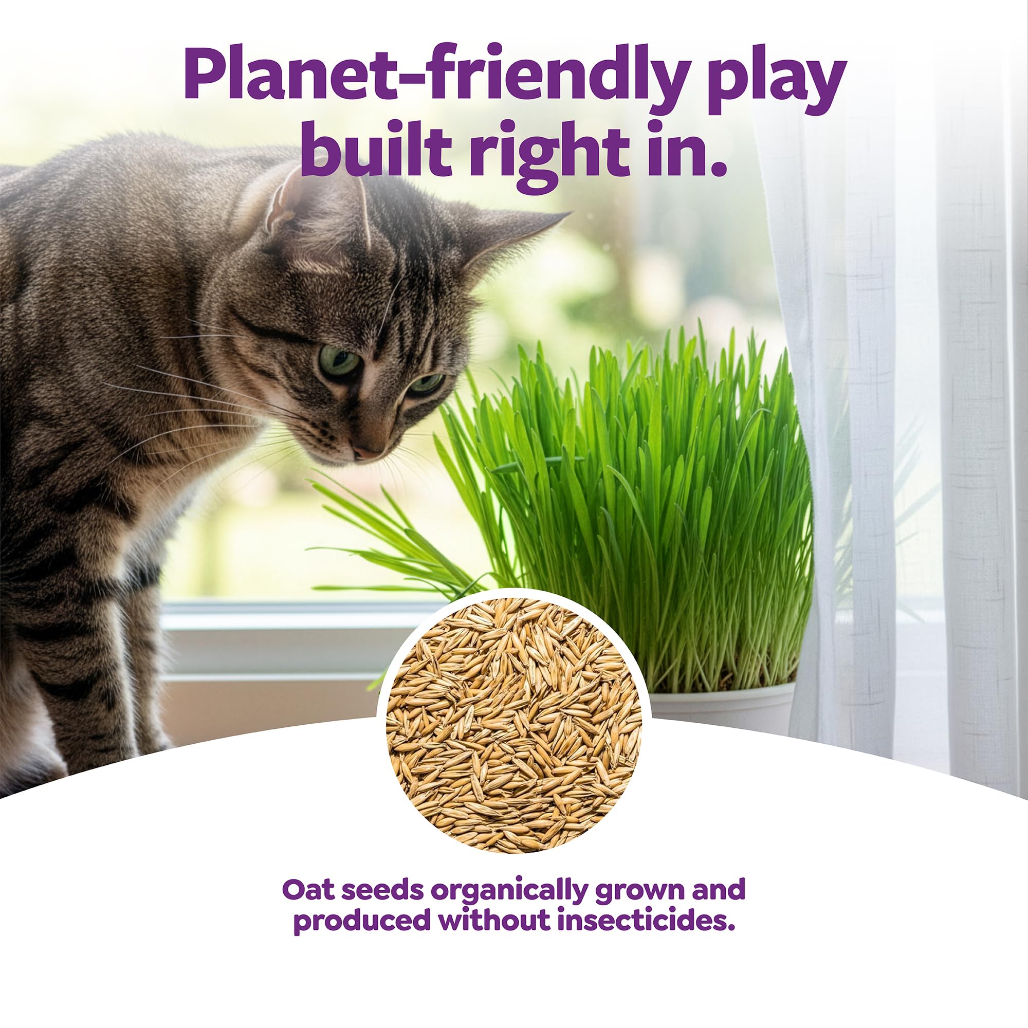 Envase reciclable de SmartyKat Sweet Greens para un hogar más sostenible