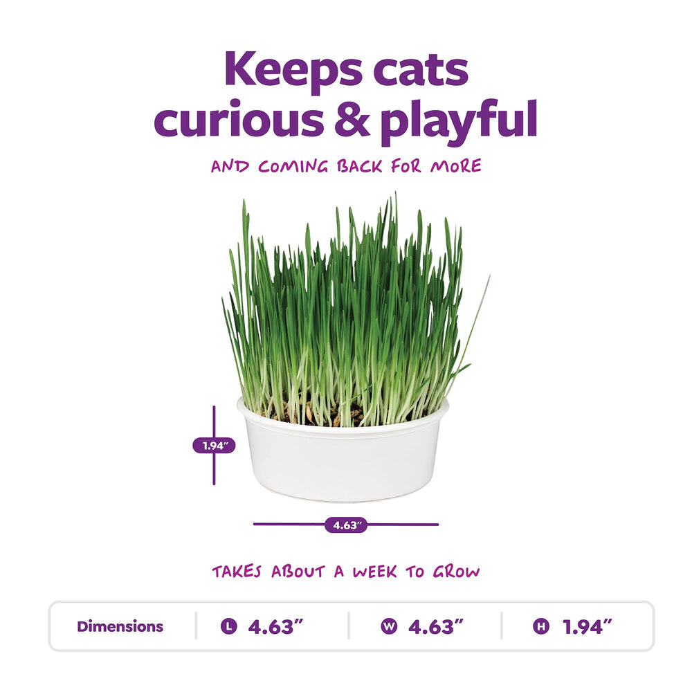 Kit SmartyKat Sweet Greens: cultivo sencillo con semillas y sustrato orgánicos