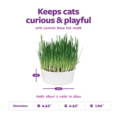 Kit SmartyKat Sweet Greens: cultivo sencillo con semillas y sustrato orgánicos