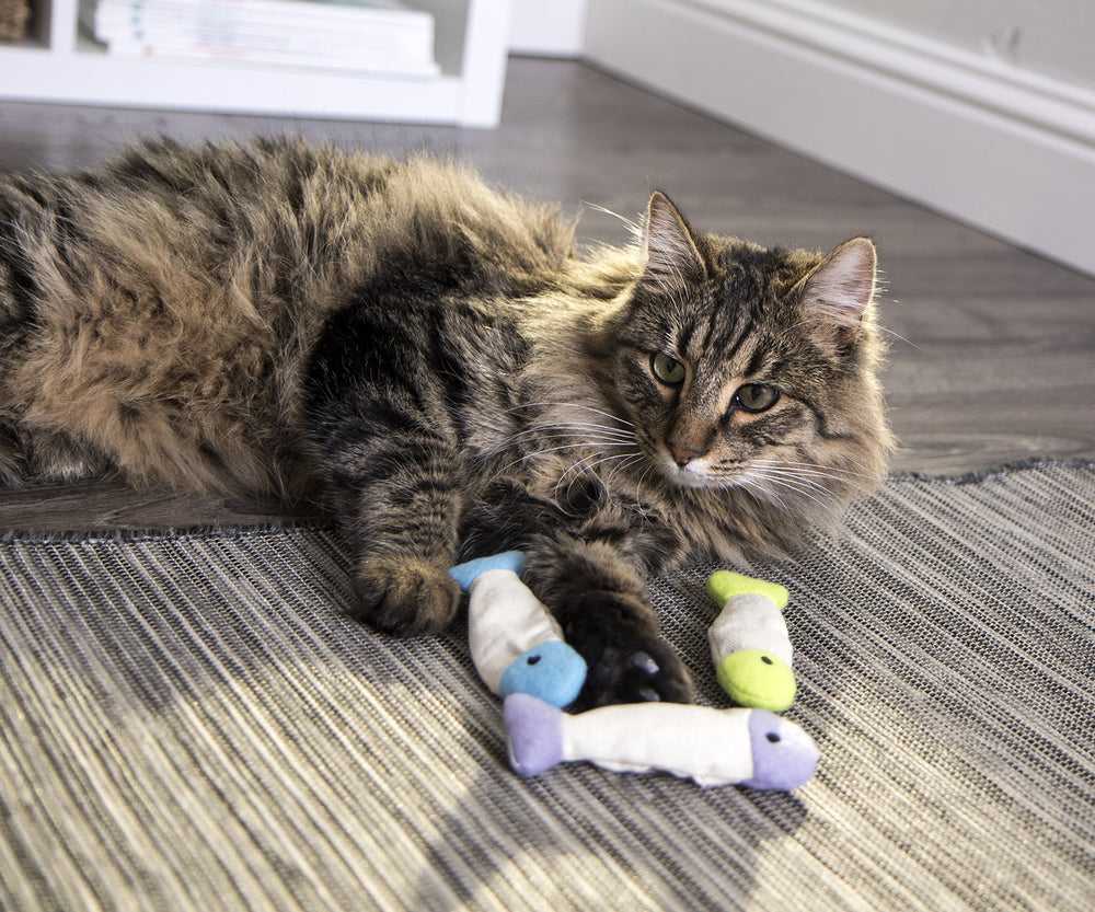 SmartyKat Fish Flop es apto para hogares con varias mascotas.