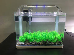 Smoothedo-Pets plantas verdes ocultas en el agua para acuario