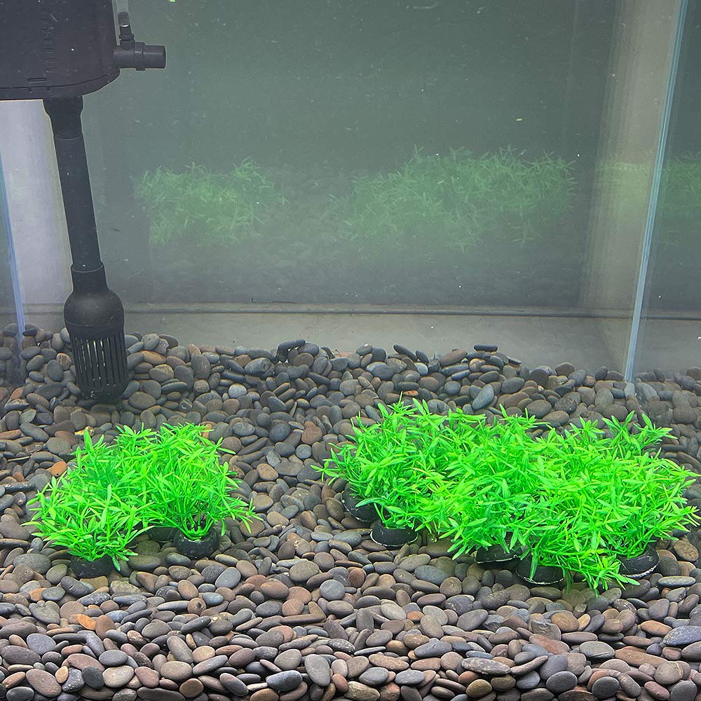 Smoothedo-Pets plantas mini verdes, aptas para peceras pequeñas