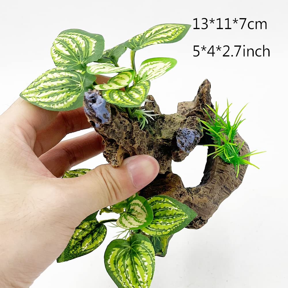Smoothedo-Pets Betta: materiales resistentes para uso en acuario