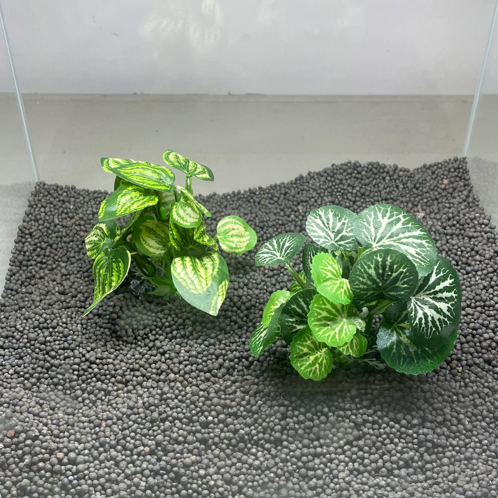 Decoracion Smoothedo-Pets para acuario resistente para uso diario