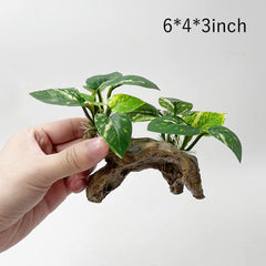Smoothedo-Pets madera artificial: aspecto natural y refugio para peces