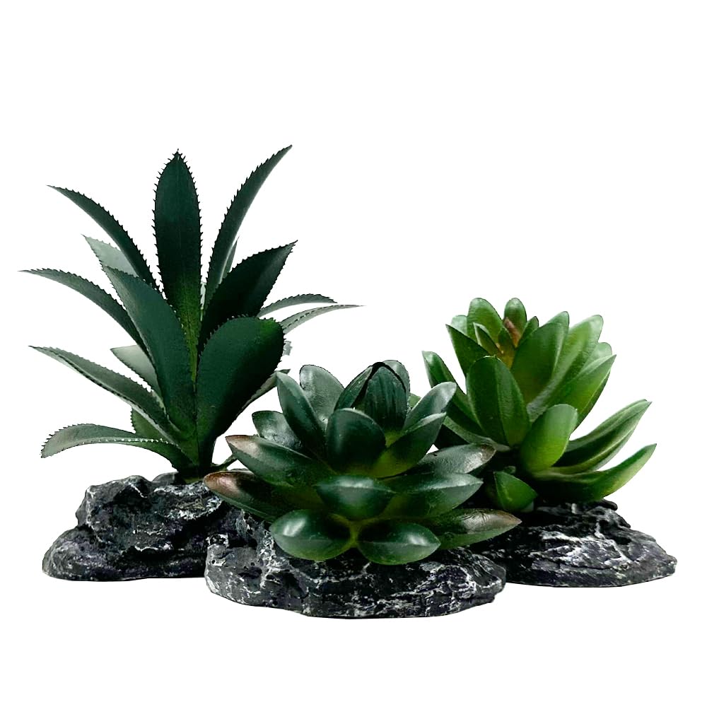 Planta artificial Smoothedo-Pets para terrario, conjunto de 3 piezas, decoración desértica de bajo mantenimiento.