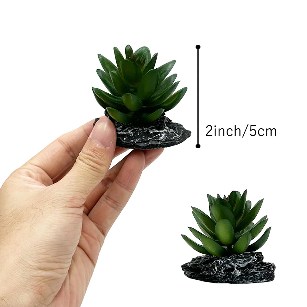 Detalle de hojas de Smoothedo-Pets para terrario, fácil limpieza.