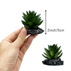Detalle de hojas de Smoothedo-Pets para terrario, fácil limpieza.