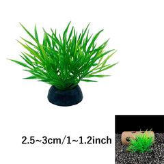 Detalle de tallo de 1 pulgada de Smoothedo-Pets para acuario compacto