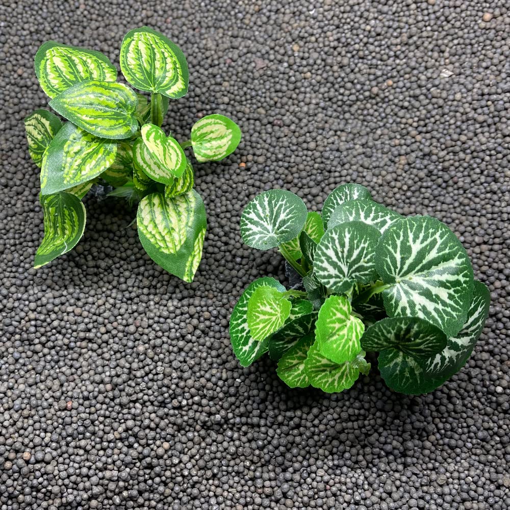 Smoothedo-Pets empaque y transporte seguro para estas plantas artificiales.
