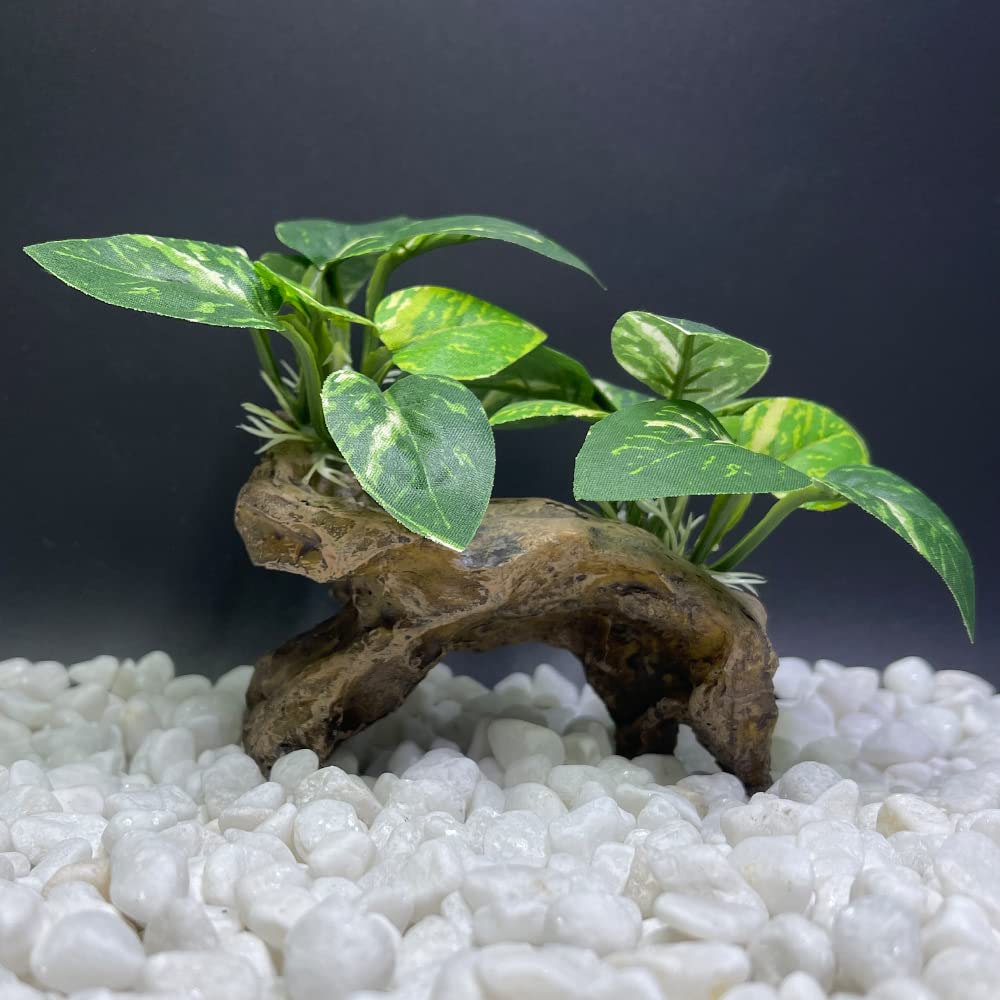 Smoothedo-Pets planta artificiales: color y volumen para el tanque