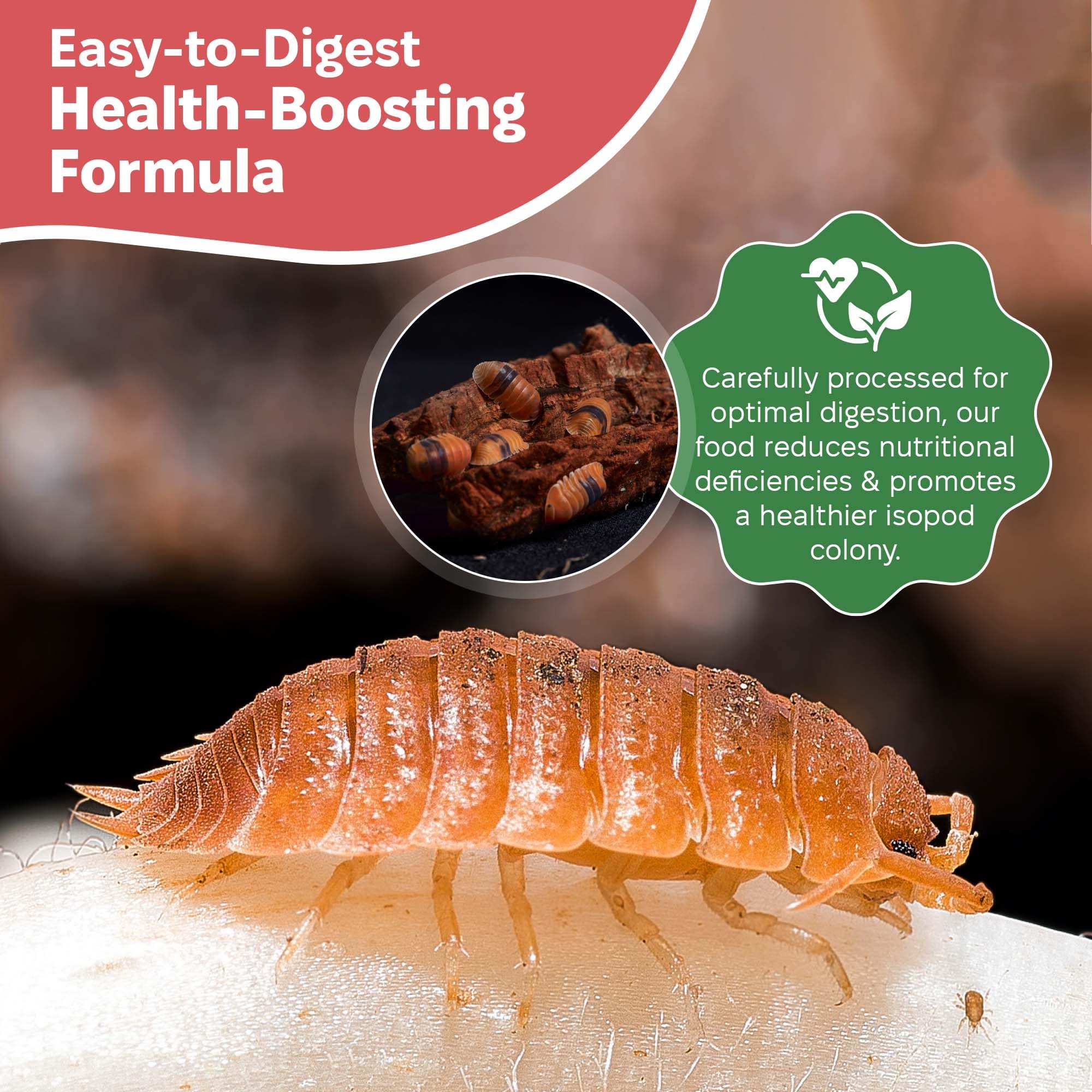 Snout and Shell: algas marinas y krill, fuente natural de proteínas para isópodos.