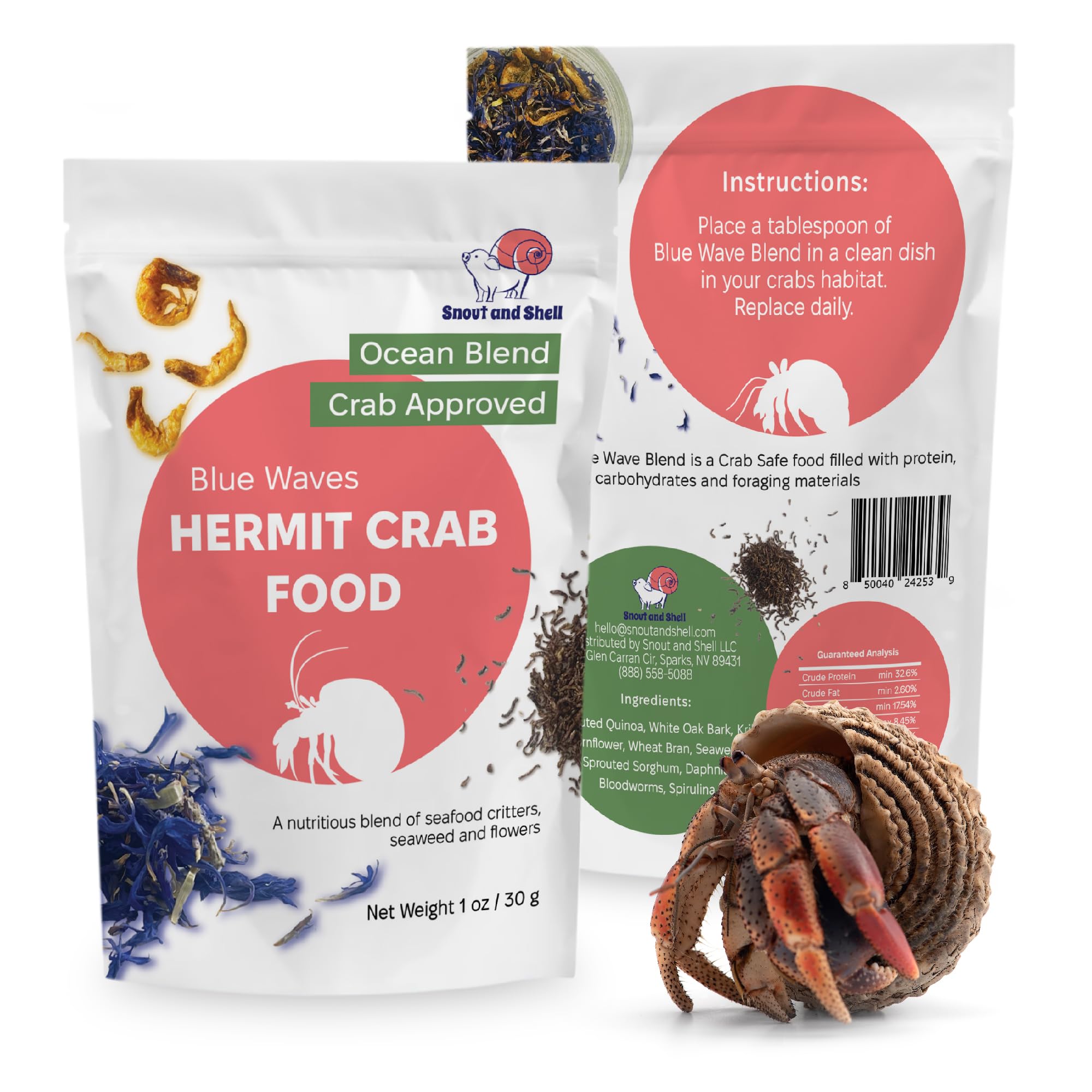 Snout and Shell: alimento cangrejos ermitaños – olas azules, muestra proteica para crecimiento.
