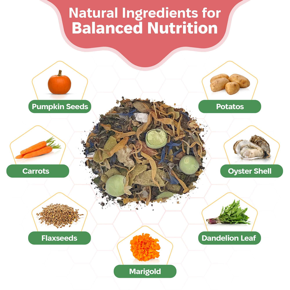 Snout and Shell Alimento para isópodos: ingredientes naturales para una dieta variada