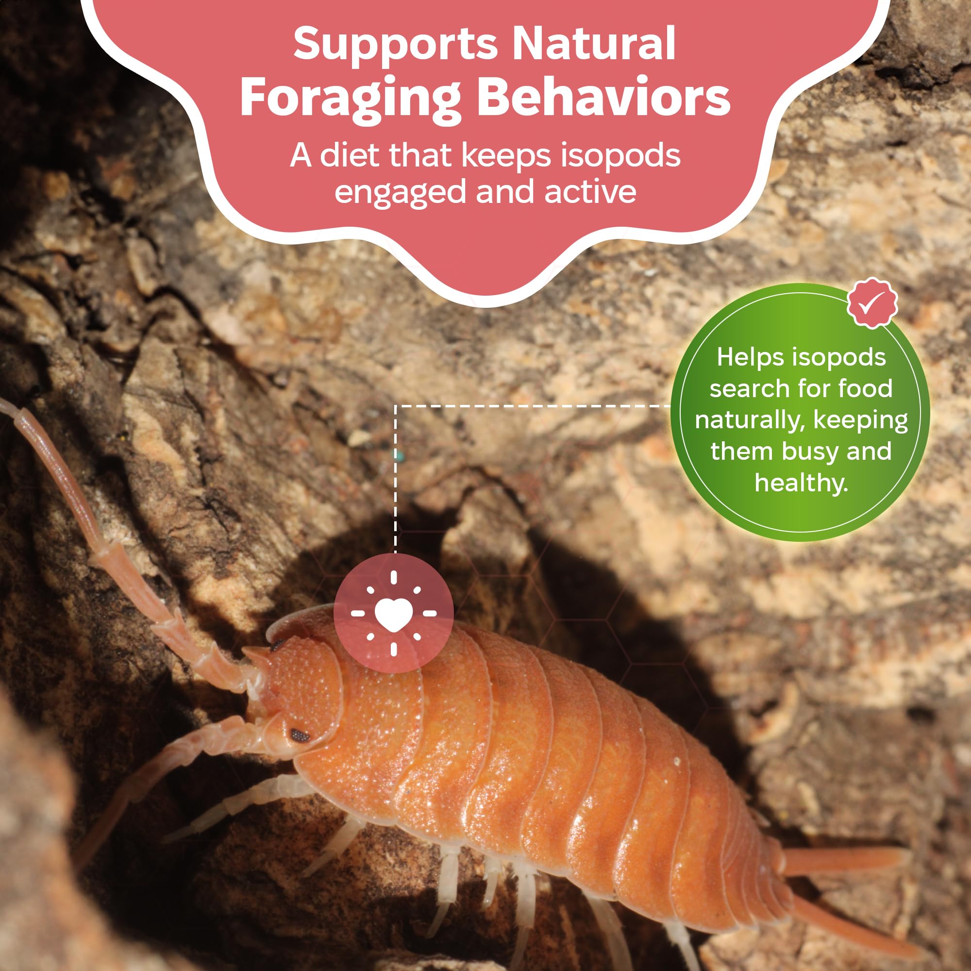 Snout and Shell Ingredientes naturales: apoyo nutricional sin ultraprocesados