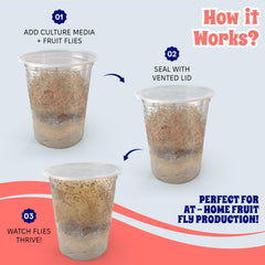 Tapas de ajuste seguro en Snout and Shell Deli cups para transporte seguro