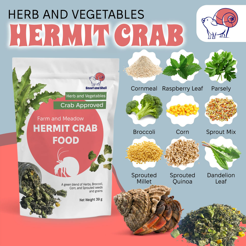Snout and Shell — feuilles-verdure-crabe-hermite, fibres et variété dans l'alimentation.