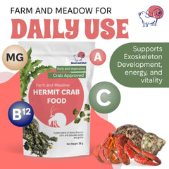 Snout and Shell — pissenlit-brocoli, calcium naturel pour la carapace.