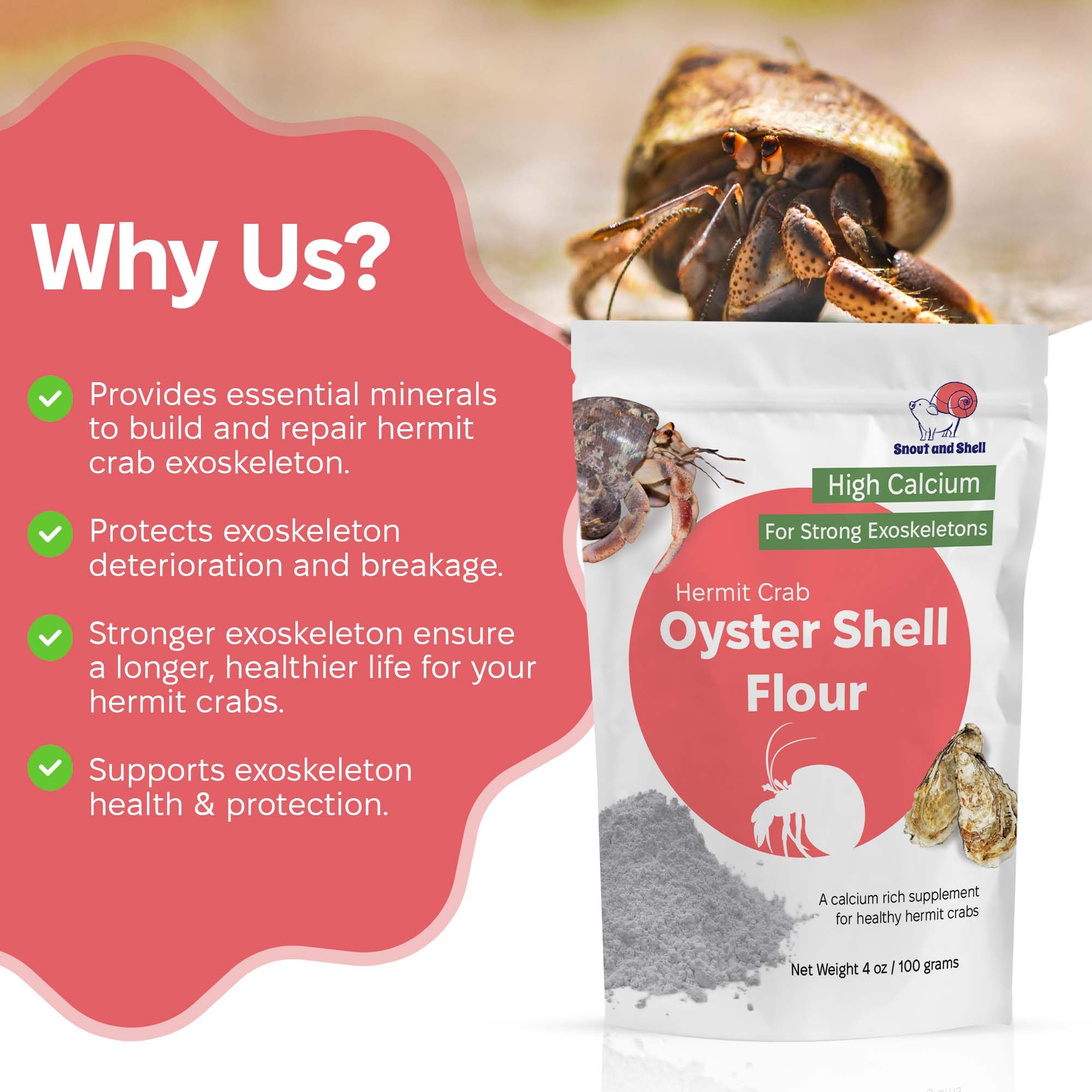 Snout and Shell: uso diario en crabitat para salud de la concha