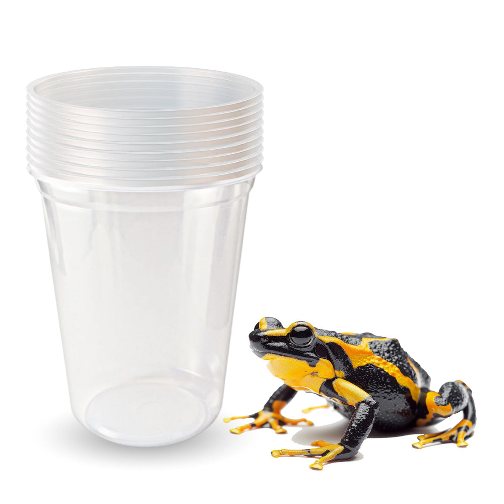 Uso educativo y de laboratorio con Snout and Shell Deli cups