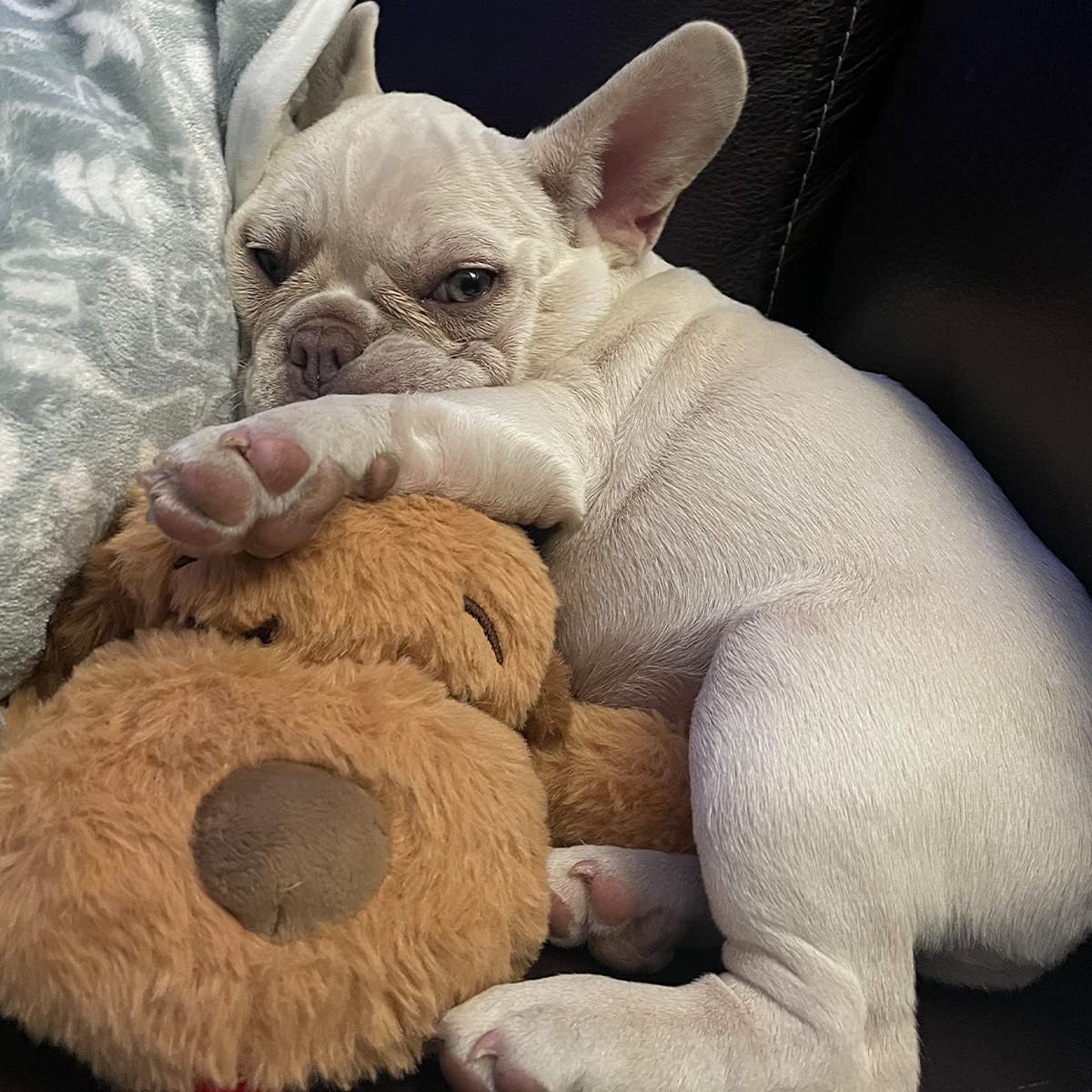 Snuggle Puppy con tres calentadores para mantener al cachorro cálido.