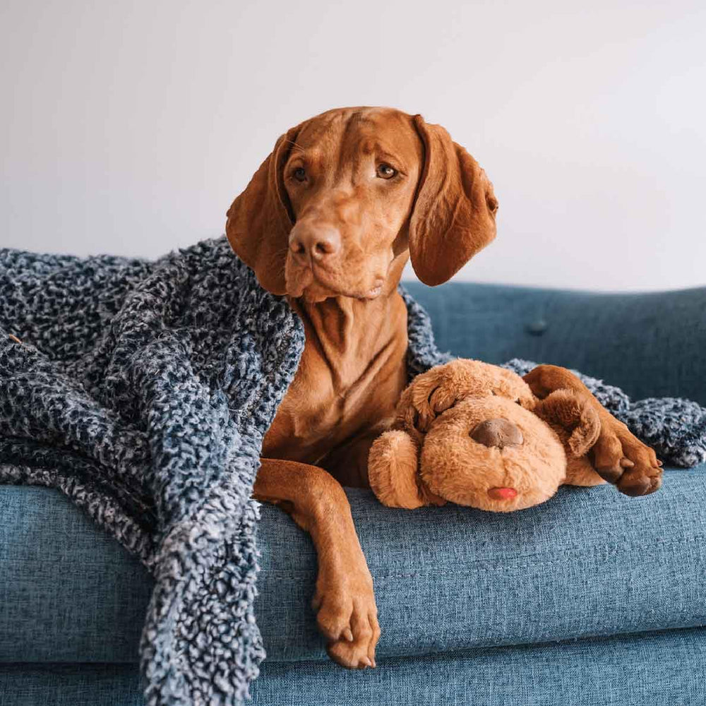 Snuggle Puppy Adicional con activación por movimiento para calma diaria