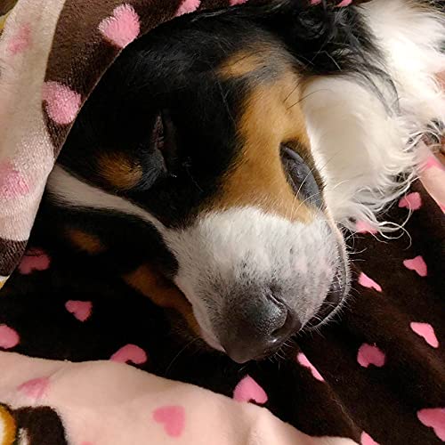 Latido real de Snuggle Puppy para tranquilidad del cachorro.