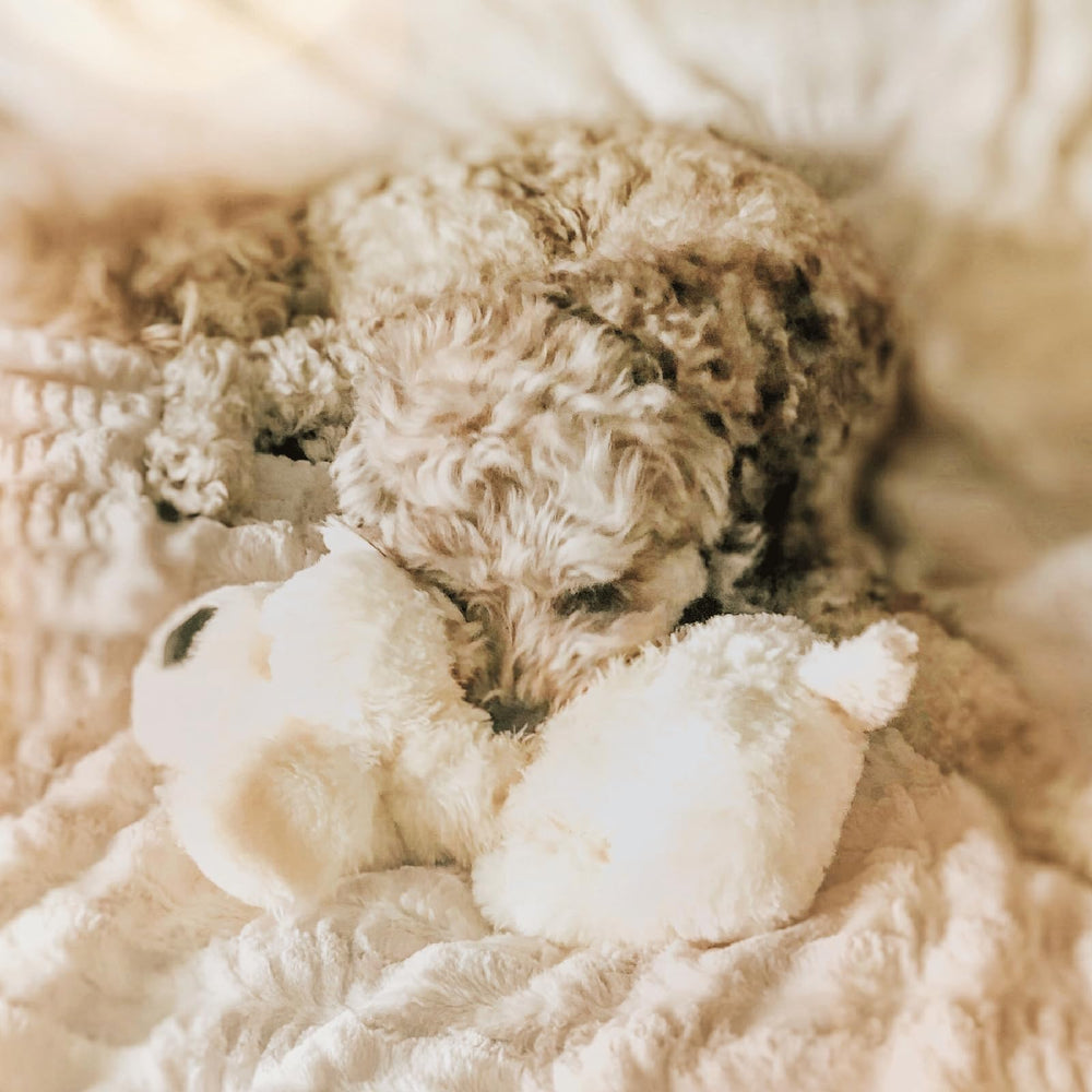 Peluche lavable Snuggle Puppy, componentes internos retirables para lavado seguro.