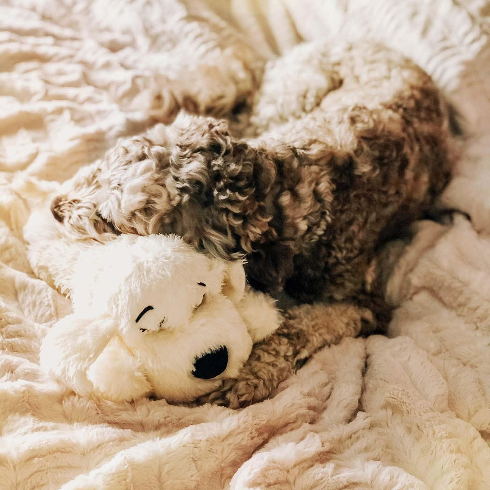 Atención al cliente en EE. UU. para Snuggle Puppy