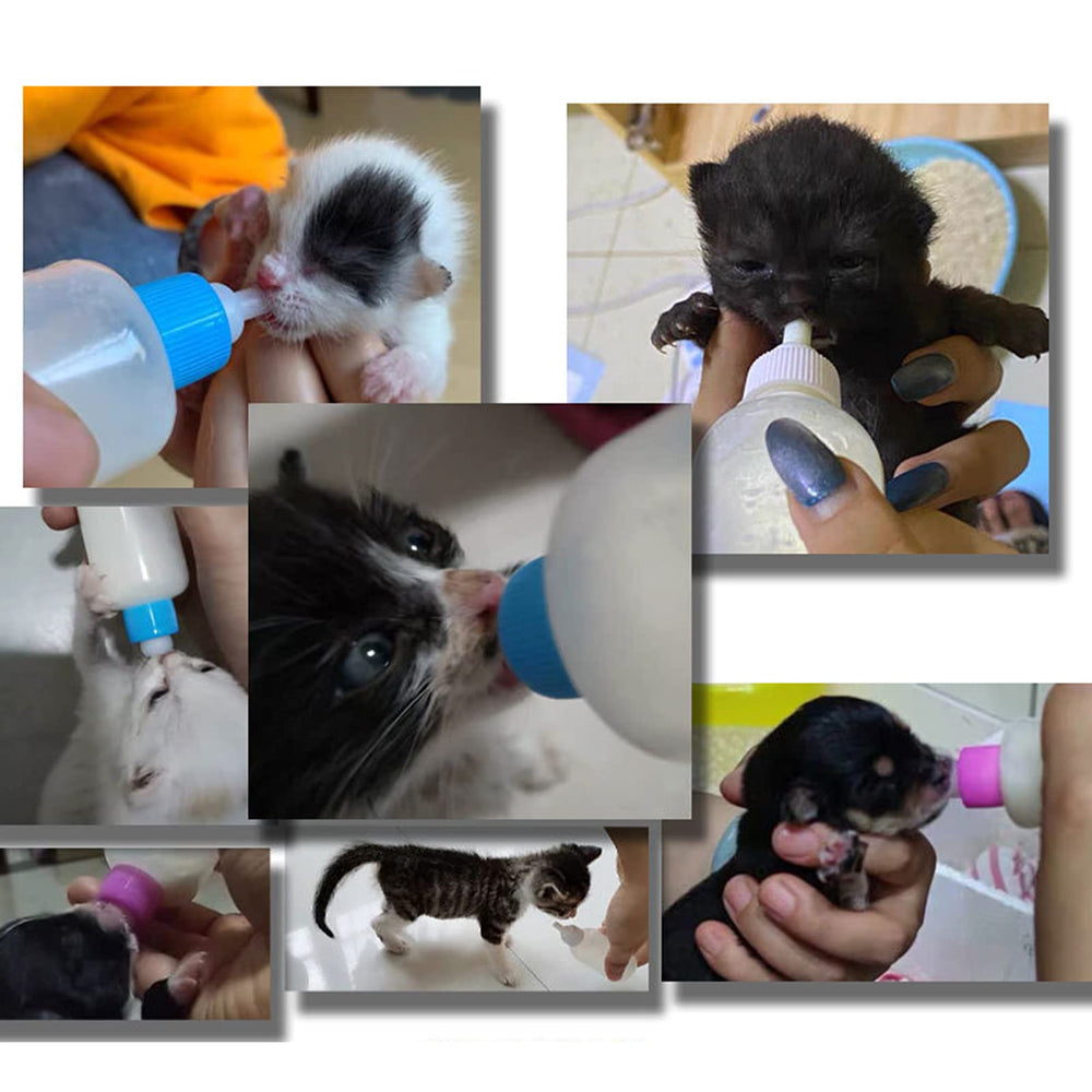 SOEAEODG evitar cruces de infección al usar tetinas separadas para cada mascota