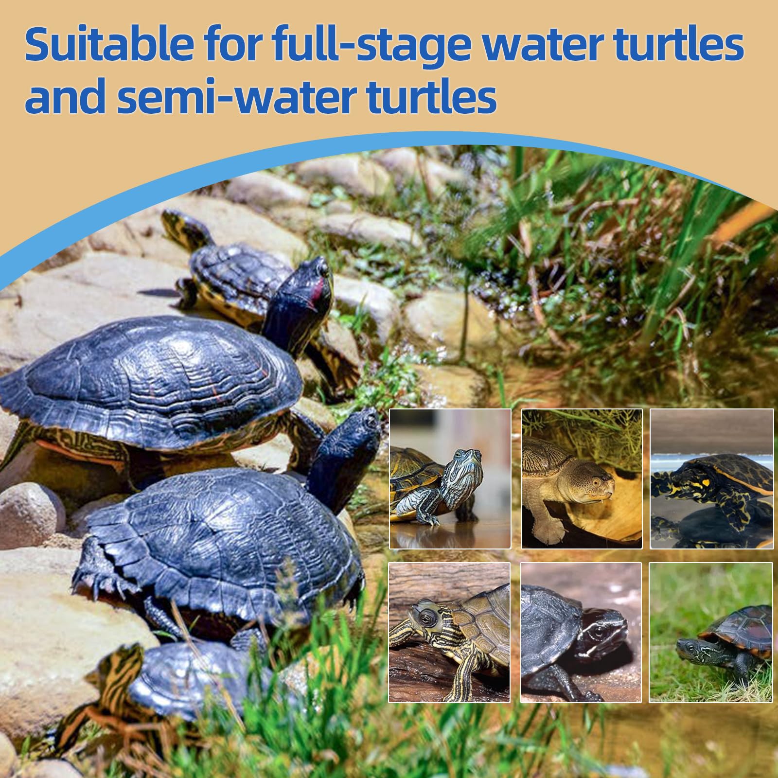 Sobirdos Turtle Treats modo de uso; guía para alimentar a la tortuga