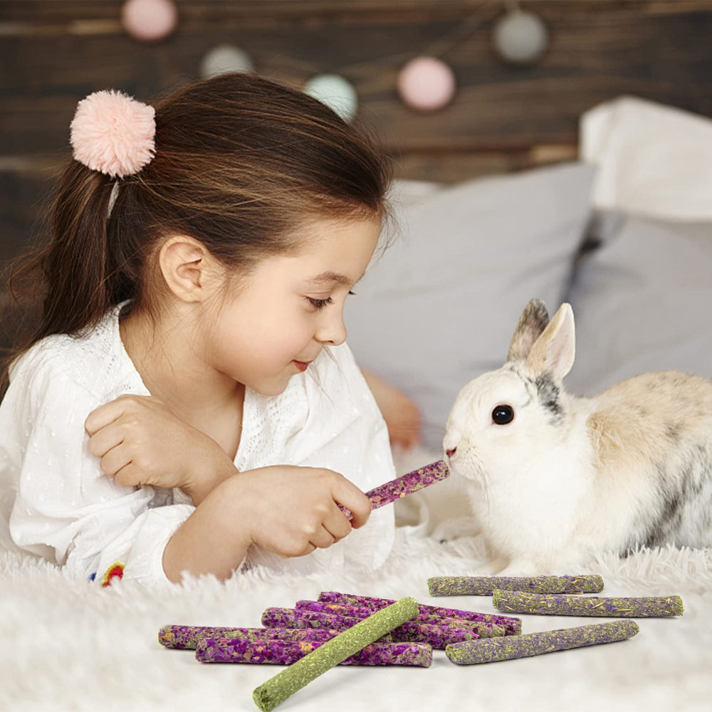 Sofier batonnet foin myosotis enrichissant le rituel des petits animaux