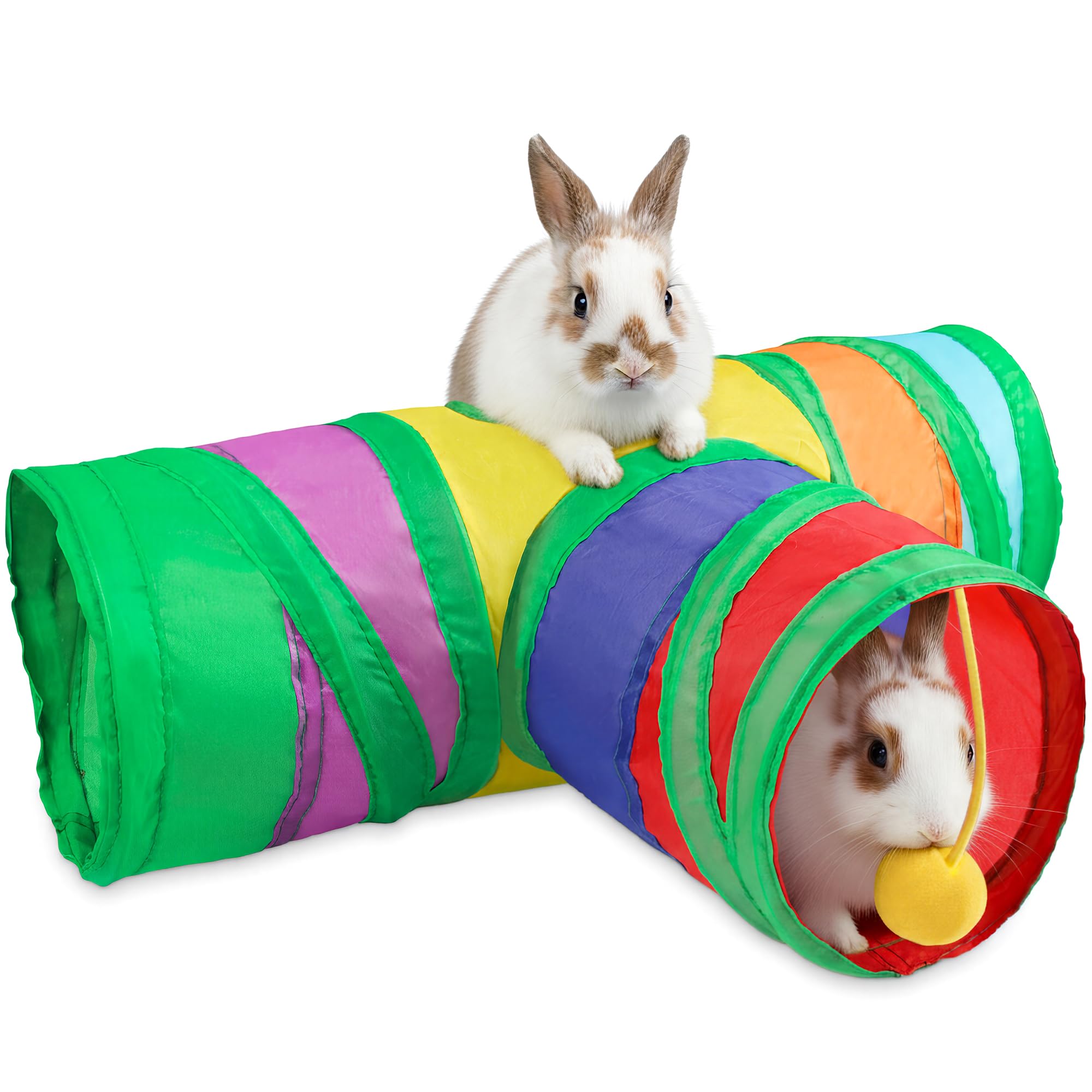 Sofier Túnel para cobaya, refugio seguro para exploración y descanso.