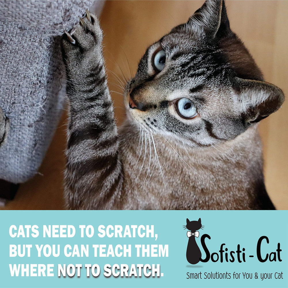 Sofisti-Cat application facile sur meubles, idéale pour l'entraînement.