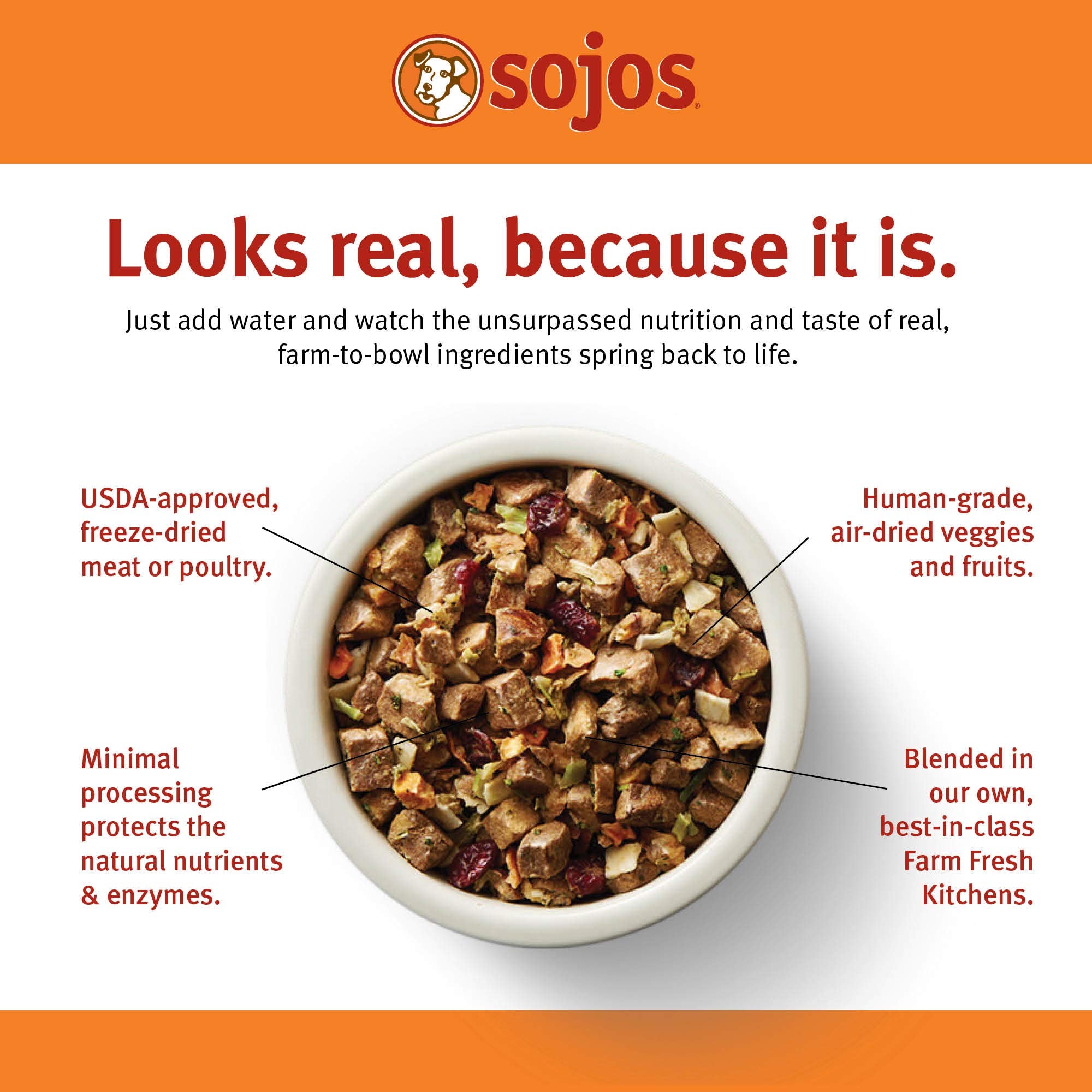Sojos Complete receta pavo-salmon para perros senior, textura agradable al hidratar.
